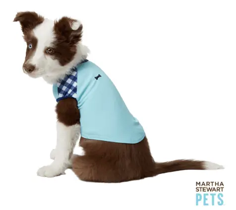 martha stewart sun shirts for pets