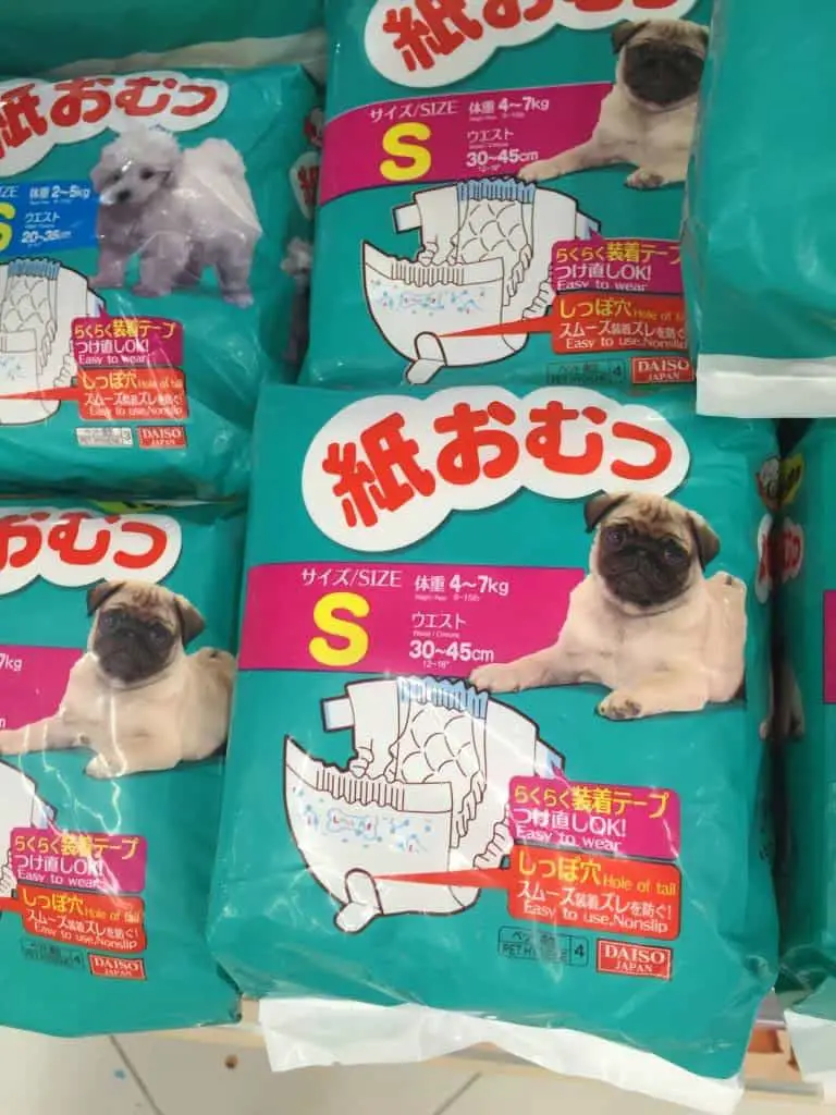puggie panties at DAISO