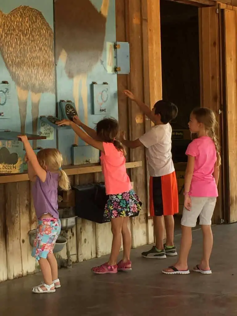 children's activity center at fossil rim wildlife center