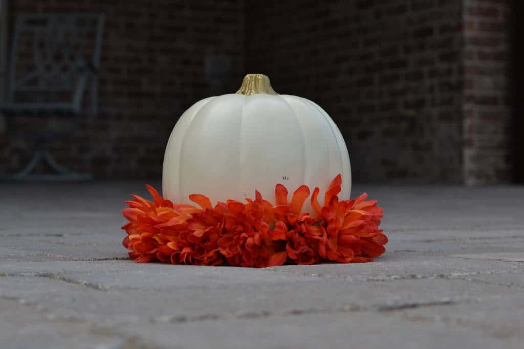 rows of flowers on DIY flower pumpkins