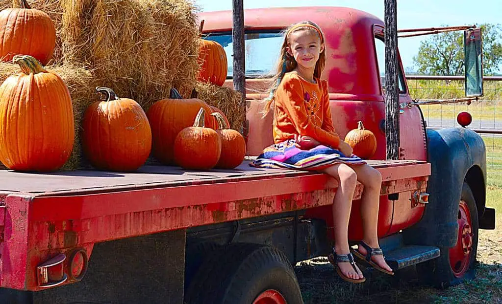 Big Orange Pumpkin Farm at Preston Trails