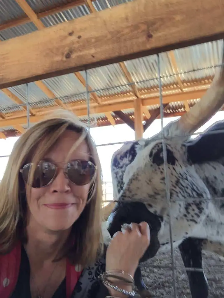 longhorn selfie