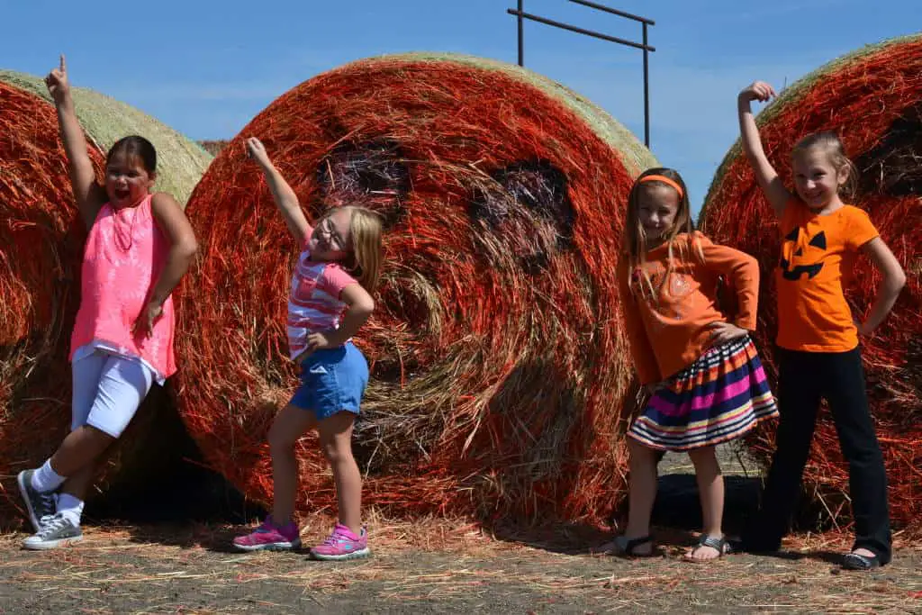 fun with hay bales