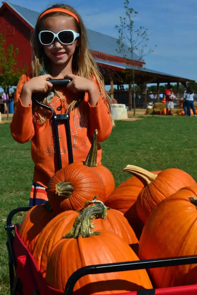 pumpkins in a wagon