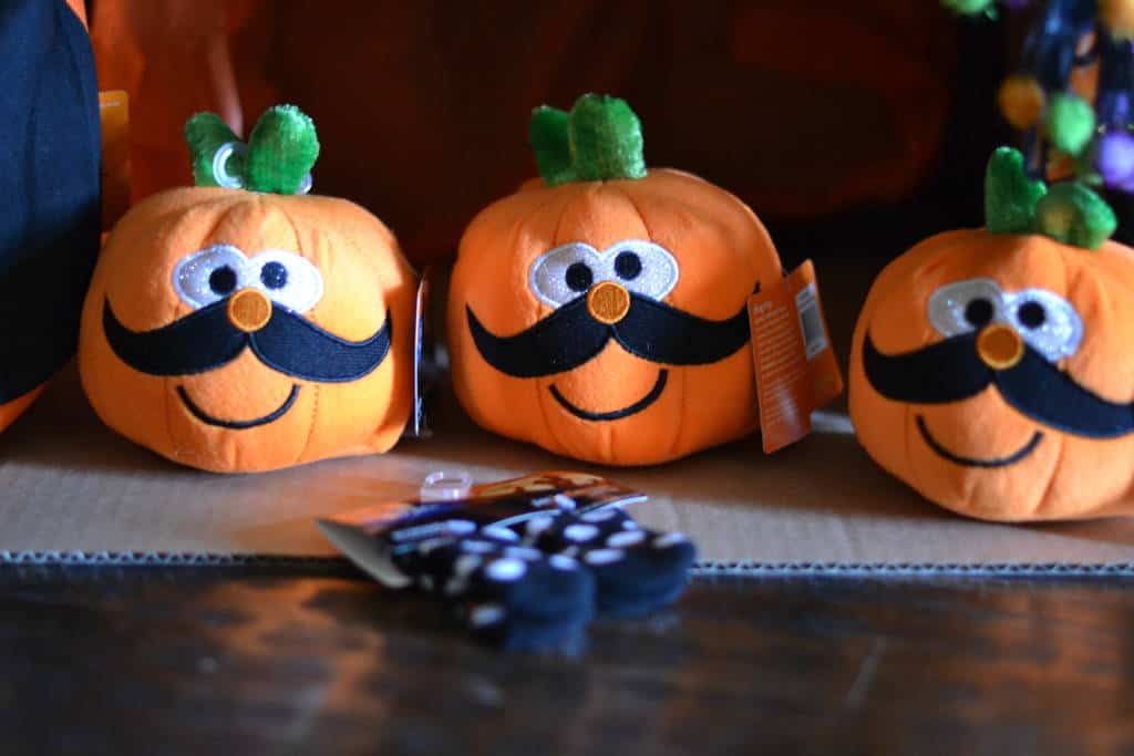 petsmart pumpkins