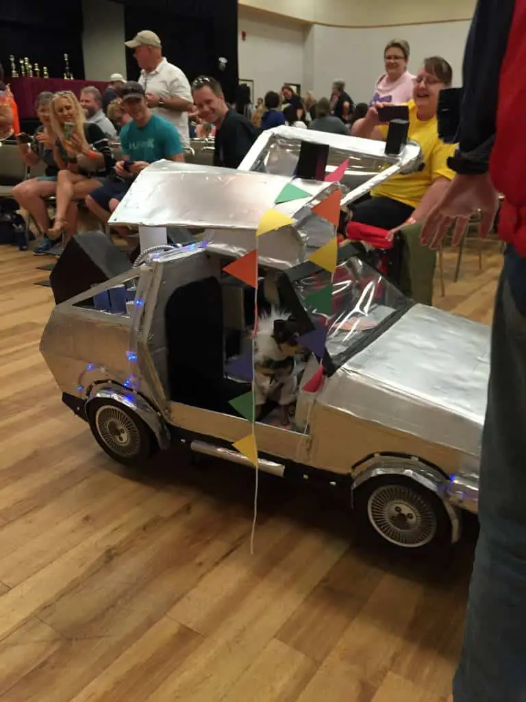 delorean halloween costume at pug-o-ween delorean halloween costume at pug-o-ween