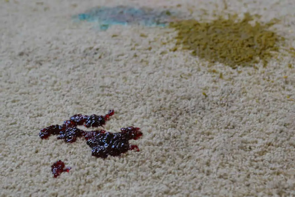 stained carpet stained carpet