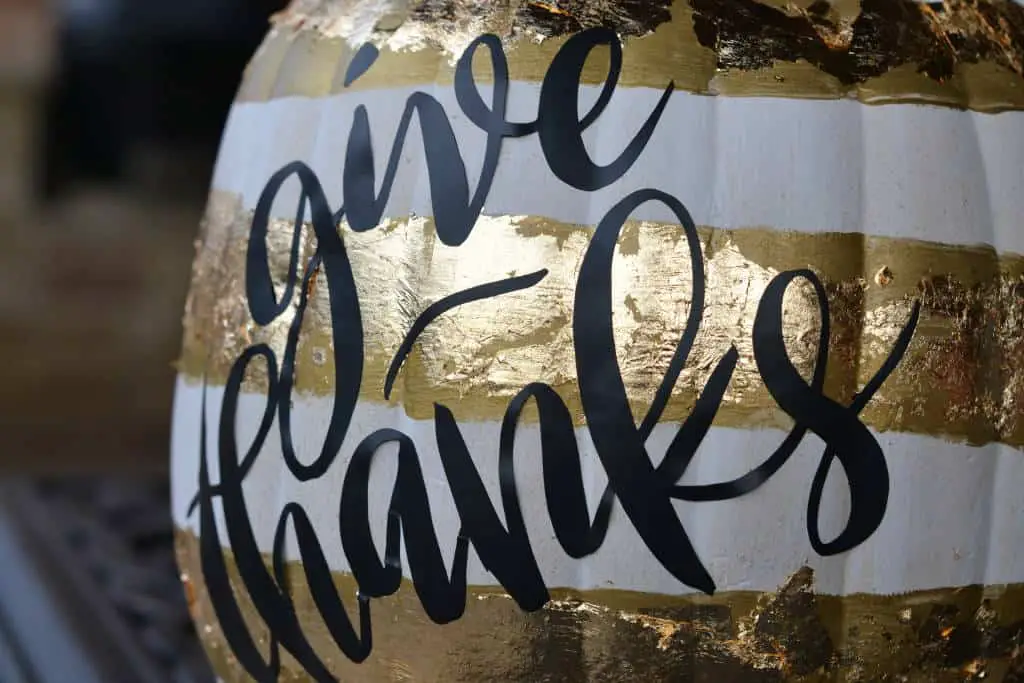 give thanks pumpkin give thanks pumpkin