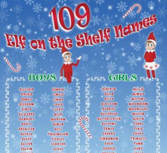 elf on the shelf names