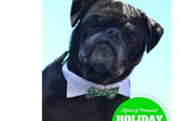 Pet Holiday Fashions from PetSmart