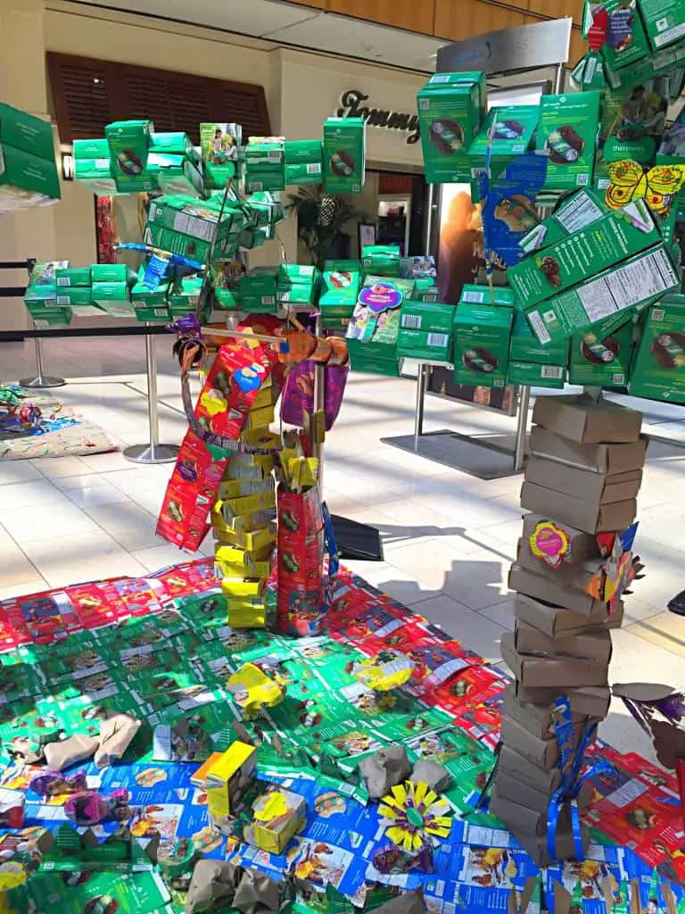 Girl Scout cookie box contest dallas galleria