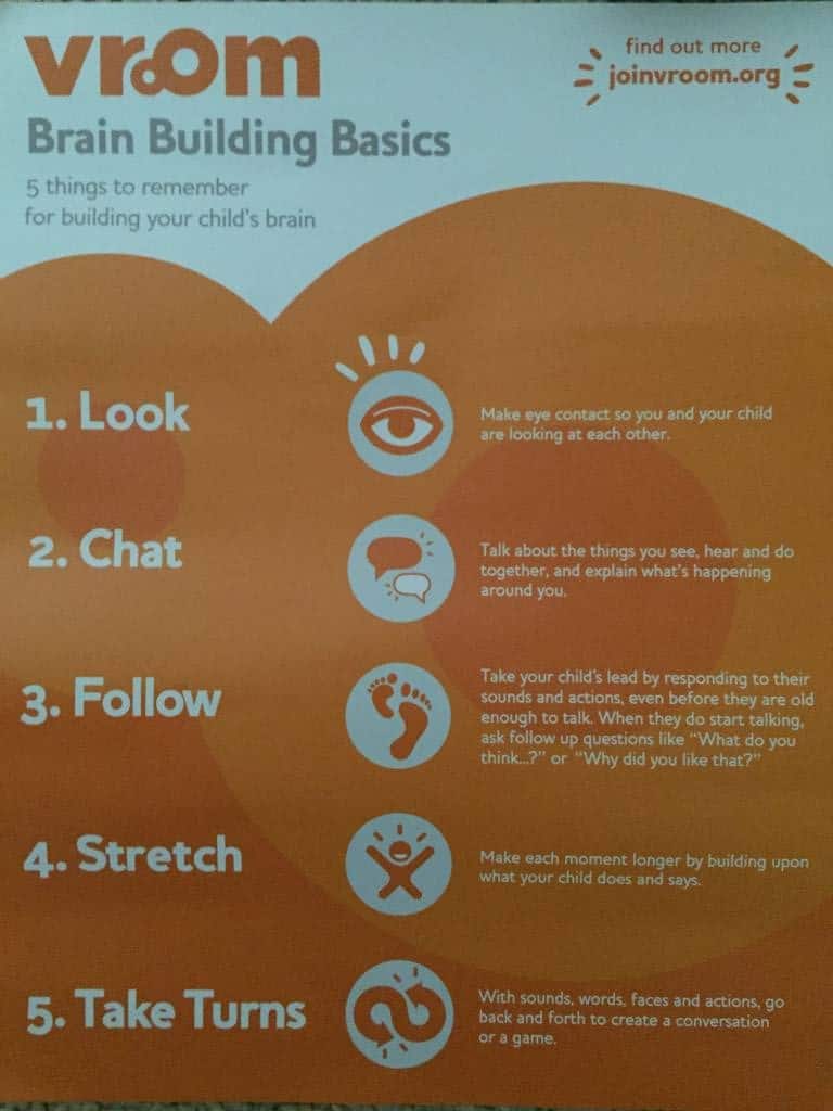 brain building basics