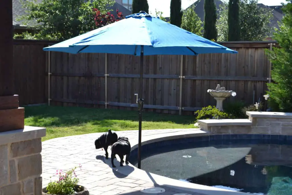 Pool umbrella