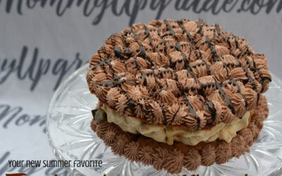 Turtle gelato waffle cake recipe