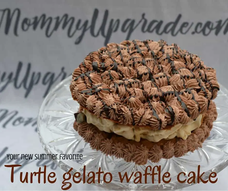 Turtle Waffle Ice Cream Cake