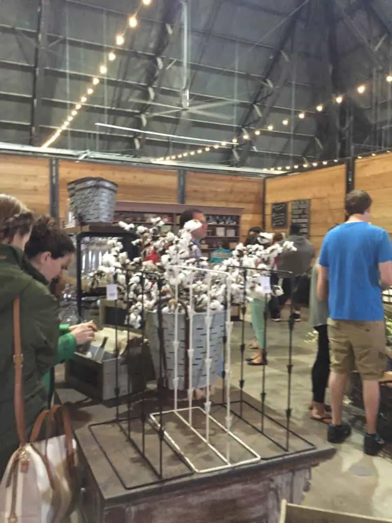 cotton stems at magnolia market