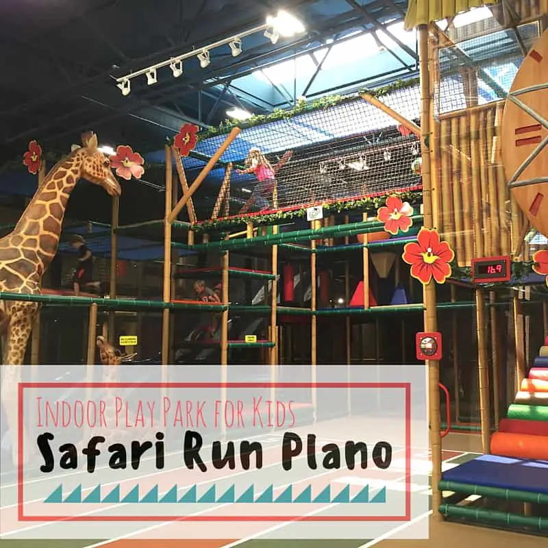 Safari Run Plano