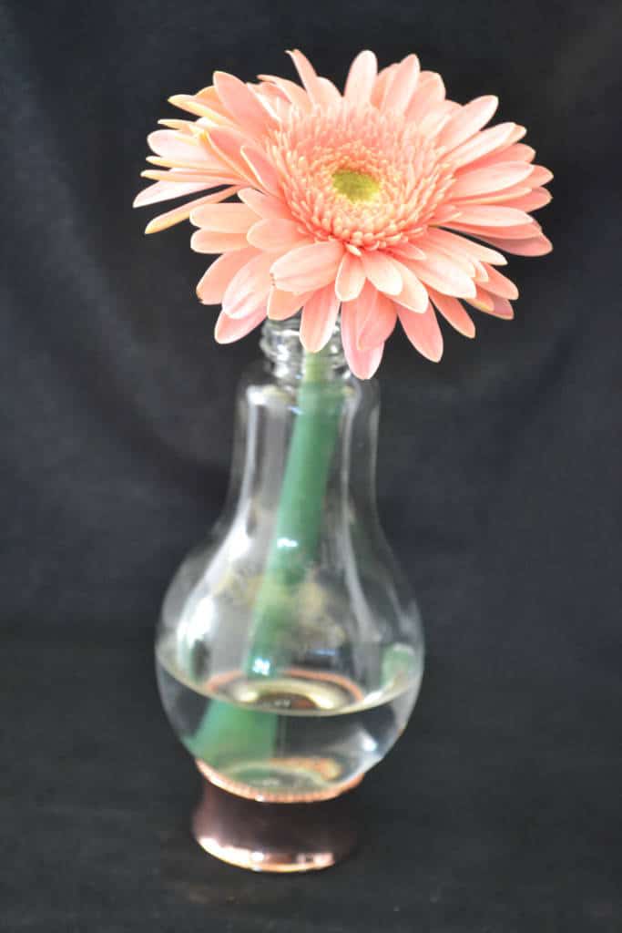 lightbulb vase