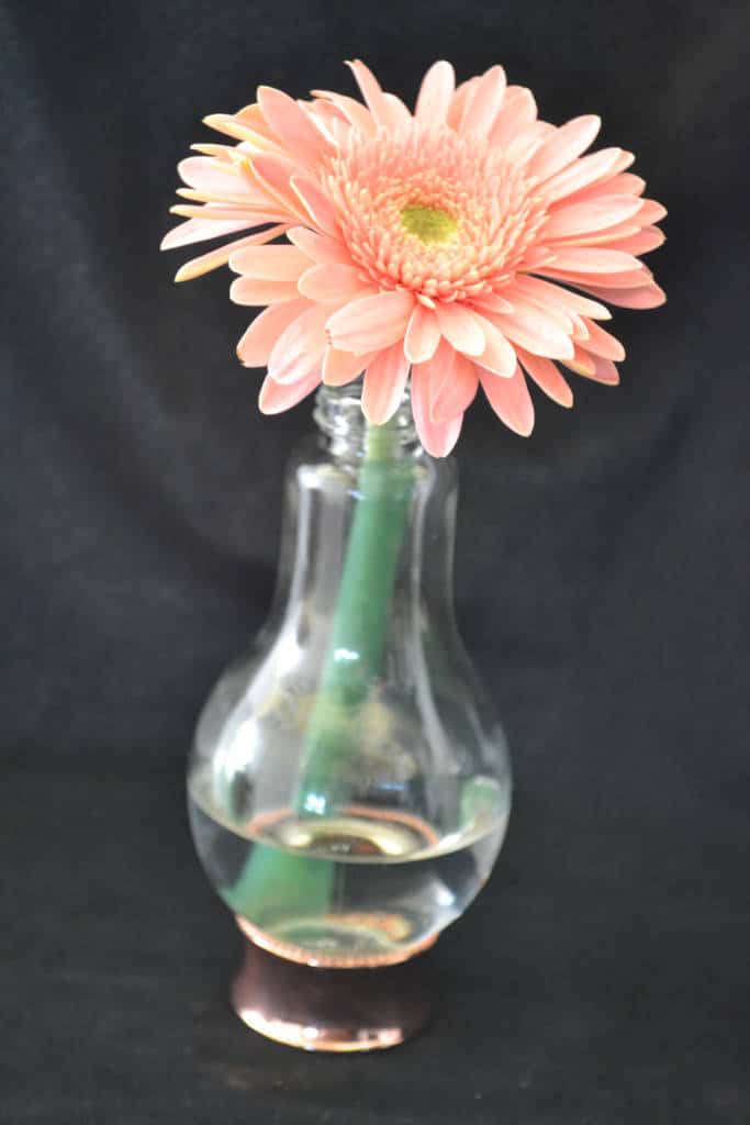 lightbulb vase lightbulb vase
