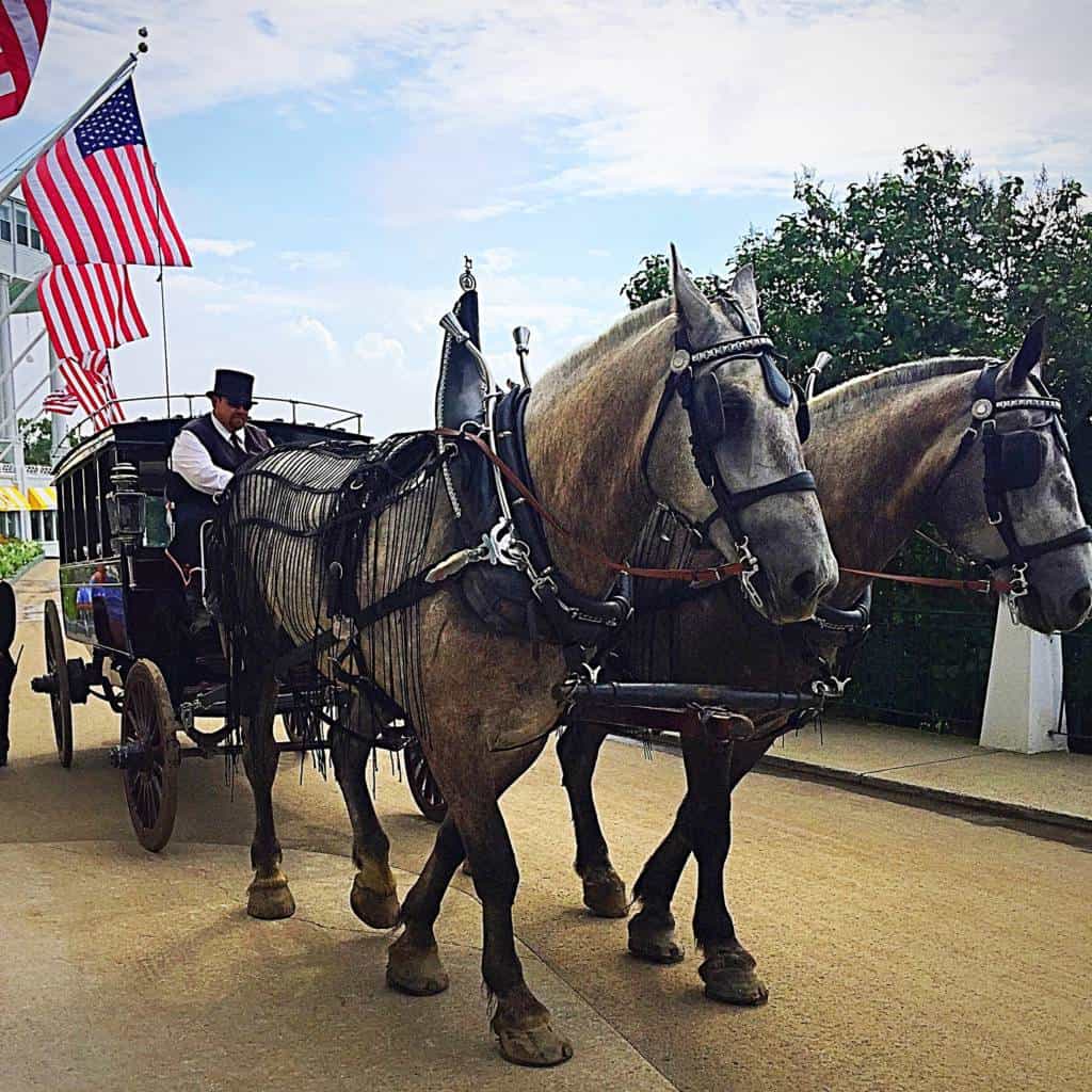 the grand hotel carriage