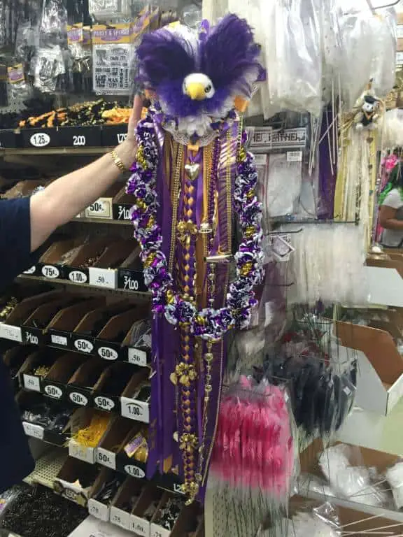 purple eagle texas mum purple eagle texas mum
