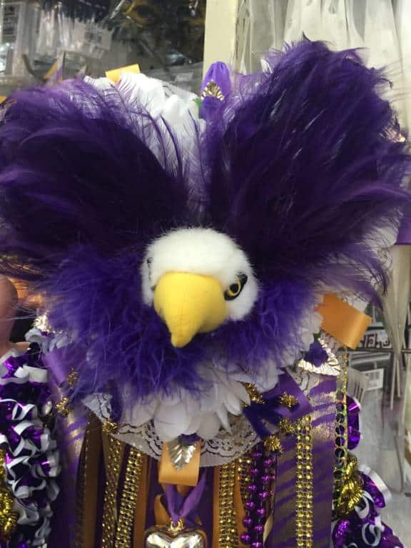 purple eagle texas mum close up - Shopping for Texas Mum Supplies