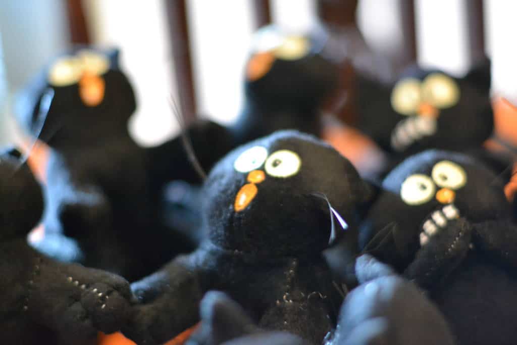 black cat party favors from Oriental Trading halloween