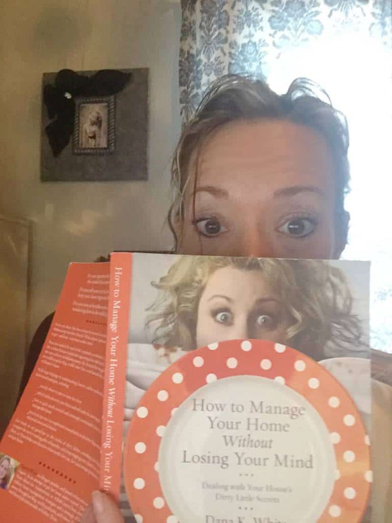 book review how to manage your home without losing your mind