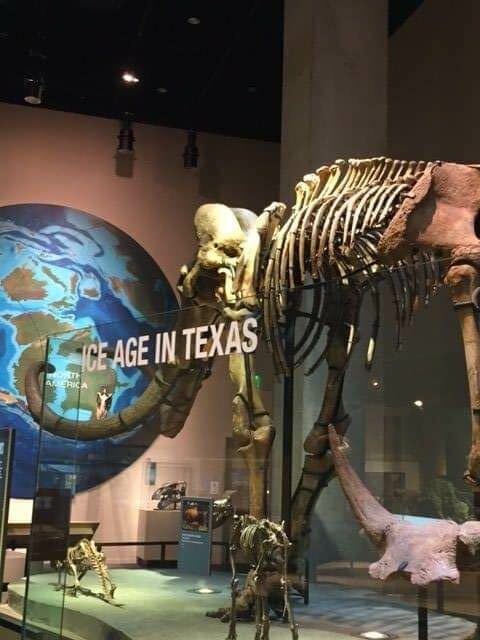 ice age in texas perot museum
