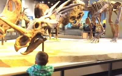 Perot Museum has holiday family fun for you!