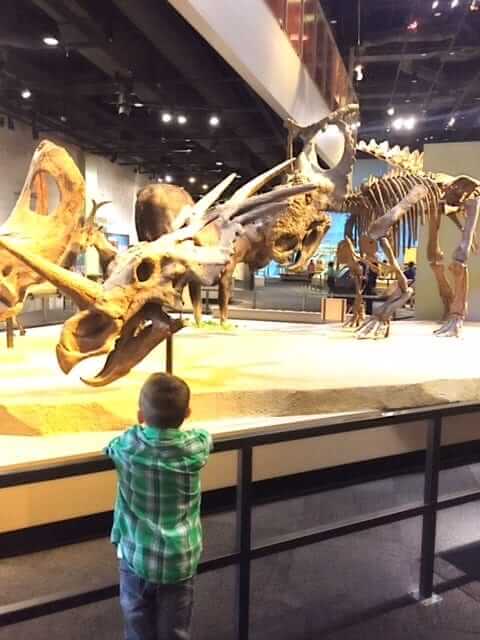 dinosaur exhibit at perot museum