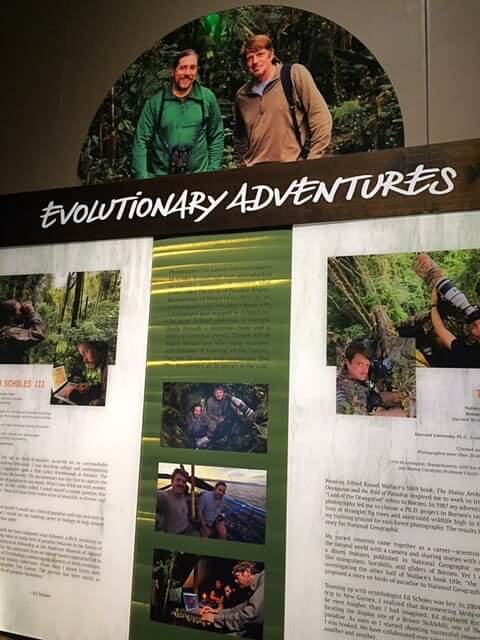adventures at perot museum dallas adventures at perot museum dallas