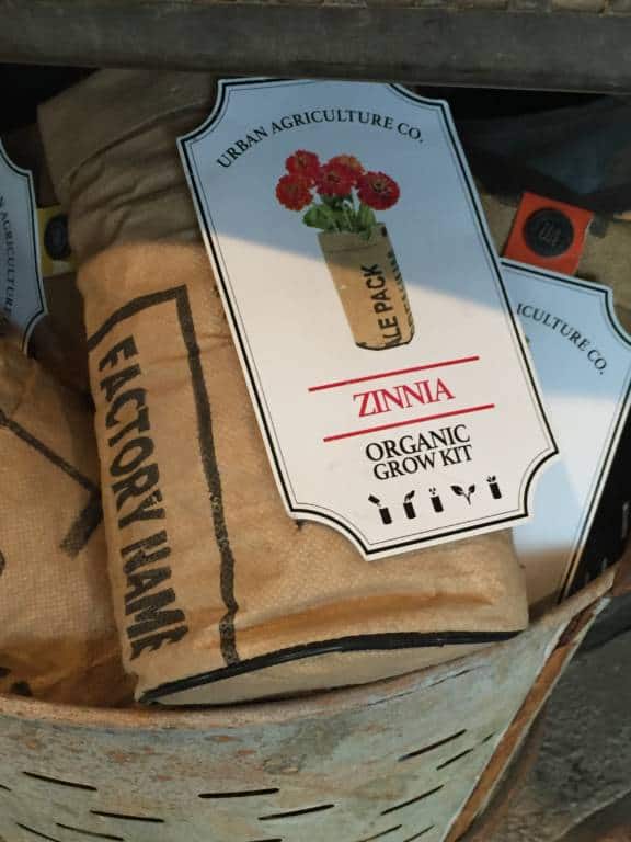zinnia kit zinnia kit