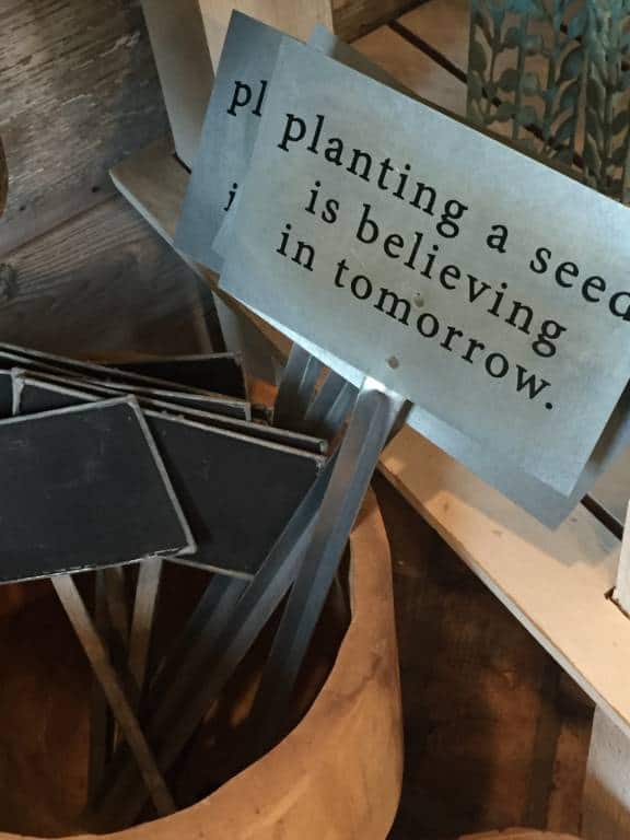 planting a seed sign