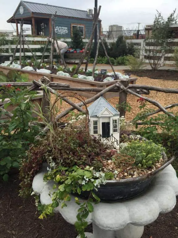 adorable fairy garden at Magnolia