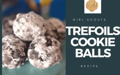 Girl Scout Trefoil Cookie Balls Recipe