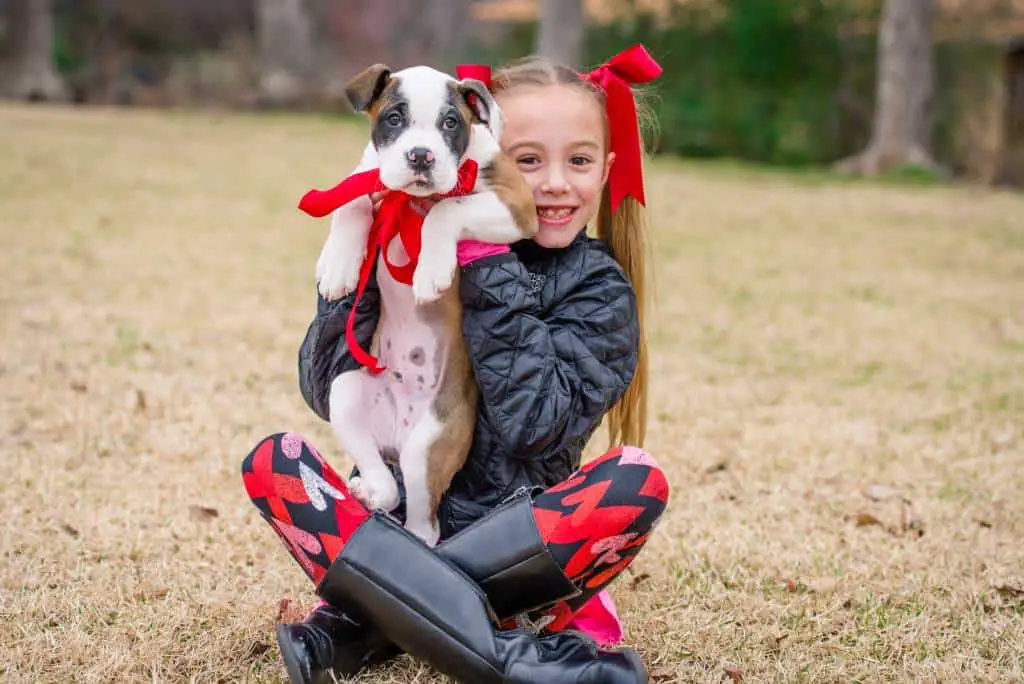 valentines balloter puppy