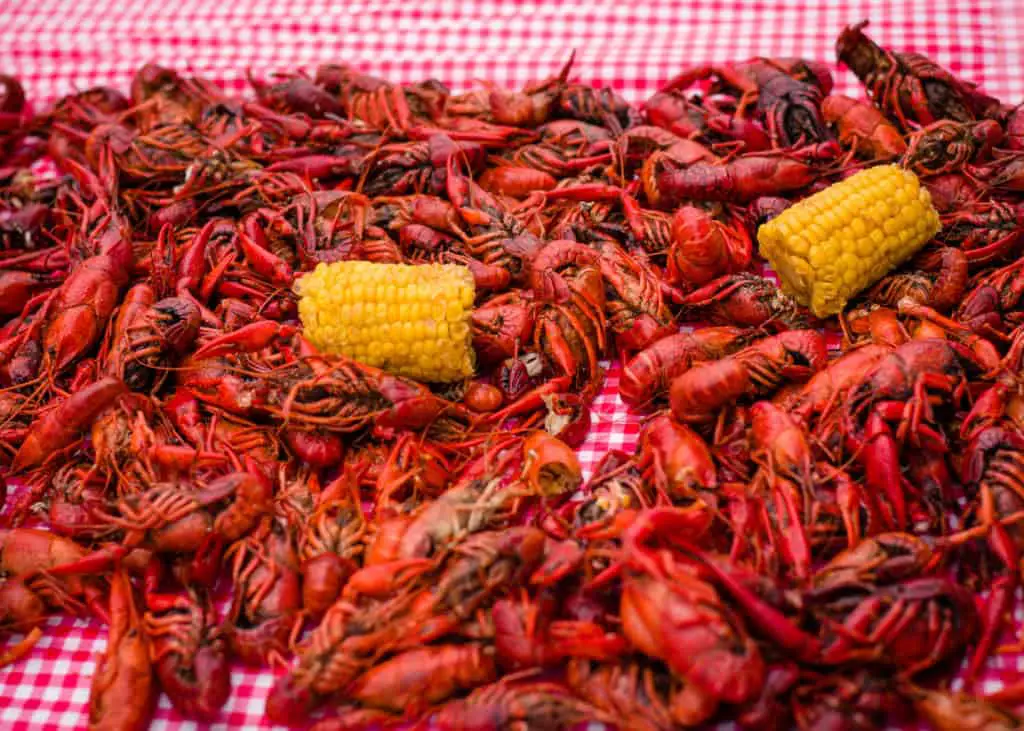 crawfish boil