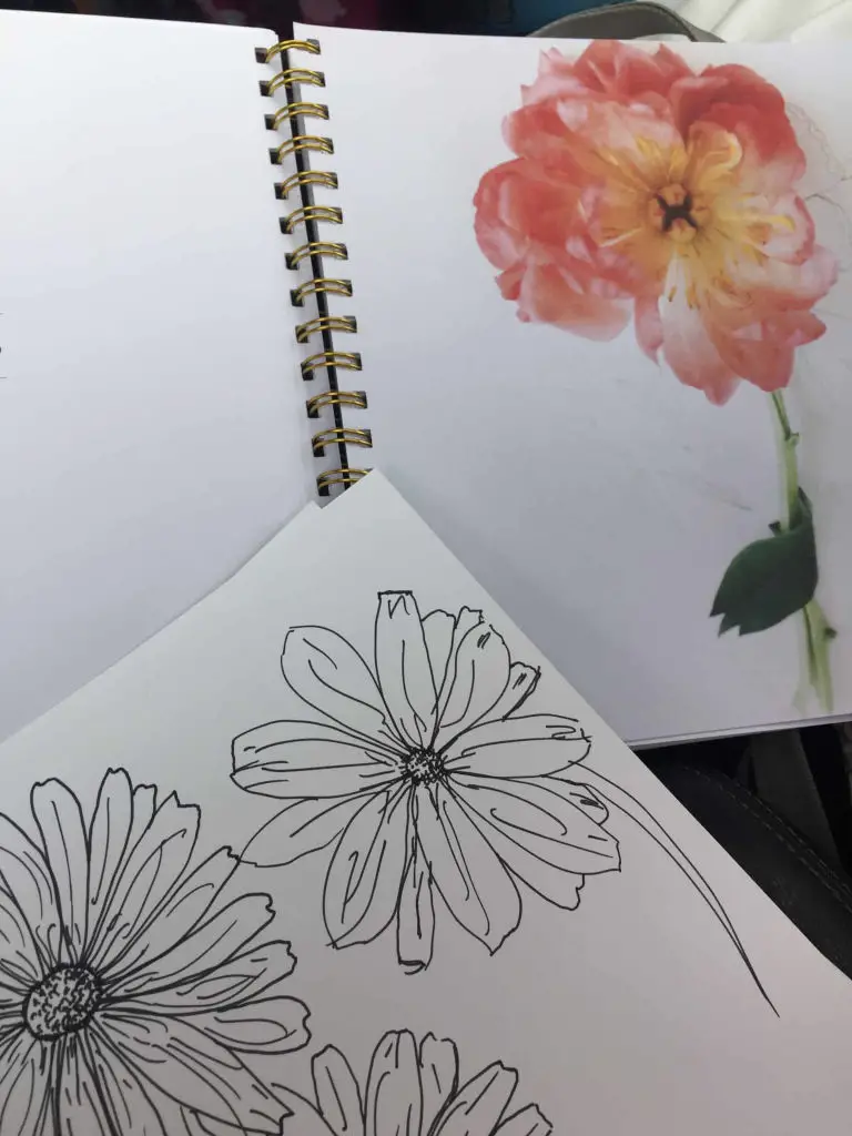 flower drawing flower drawing