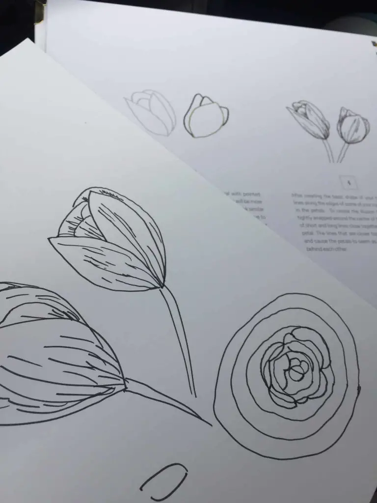 flower sketch flower sketch