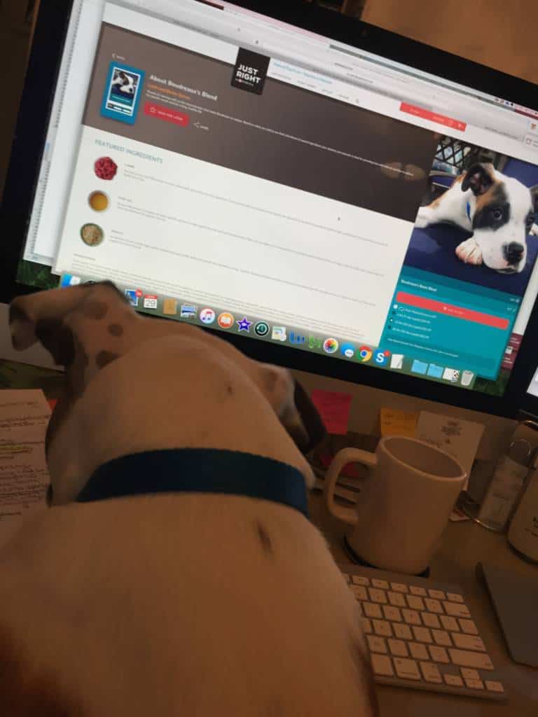 Ordering our Just Right Pets by Purina