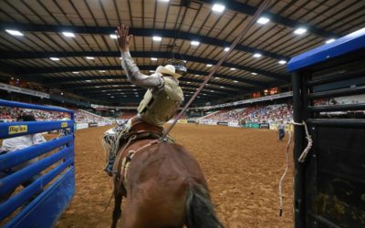 A Visit to the Mesquite Championship Rodeo