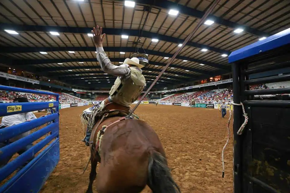 cowboy at mesquite championship rodeo