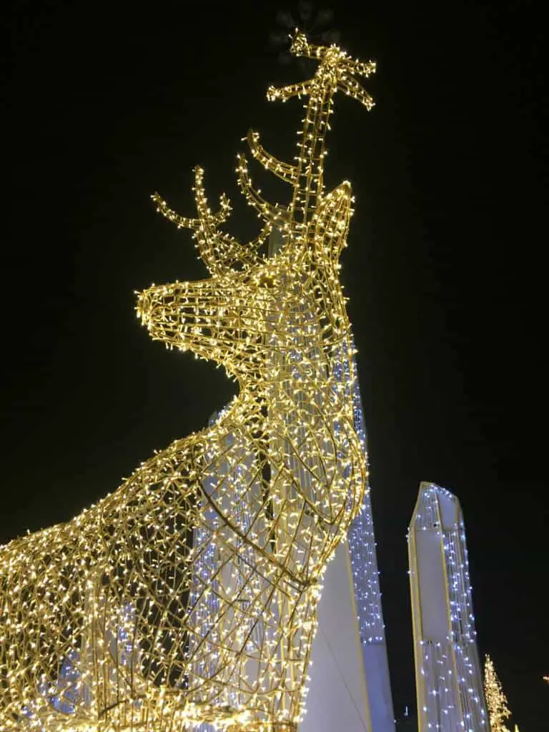 looking up at Enchant Reindeer