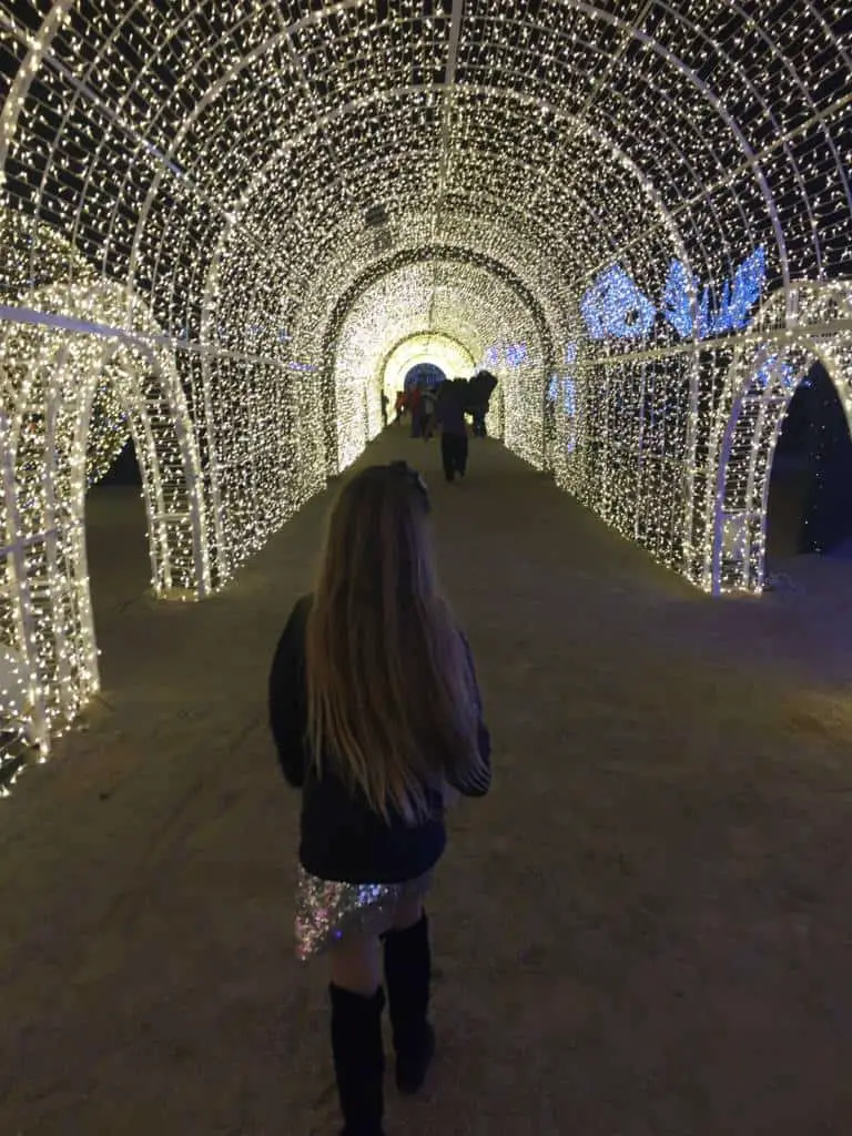 light maze at Enchant Christmas
