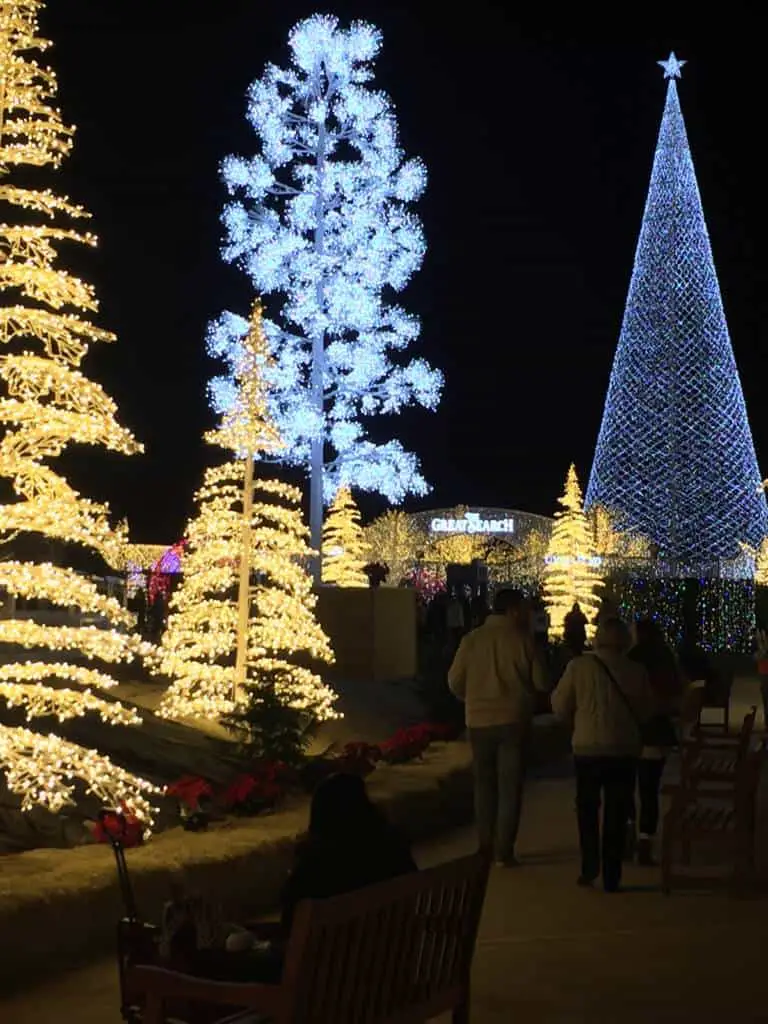 walking through Enchant Christmas walking through Enchant Christmas