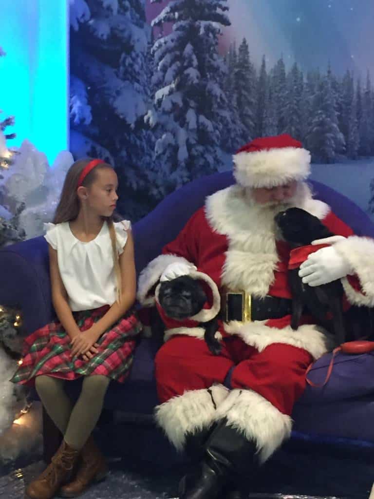 pug conversations with santa