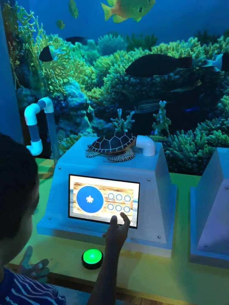 Sea Life Aquarium Turtle Rehabilitation Exhibit 6