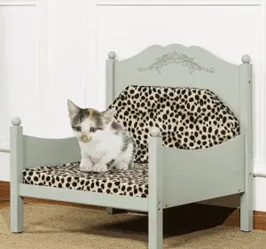 Anson Cat Bed