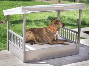 Dustin Outdoor Dog Bed